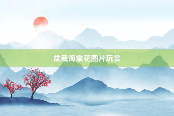 盆栽海棠花图片玩赏